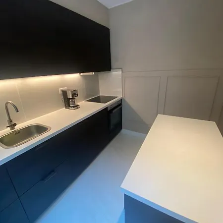 Apartment Luxury In Center